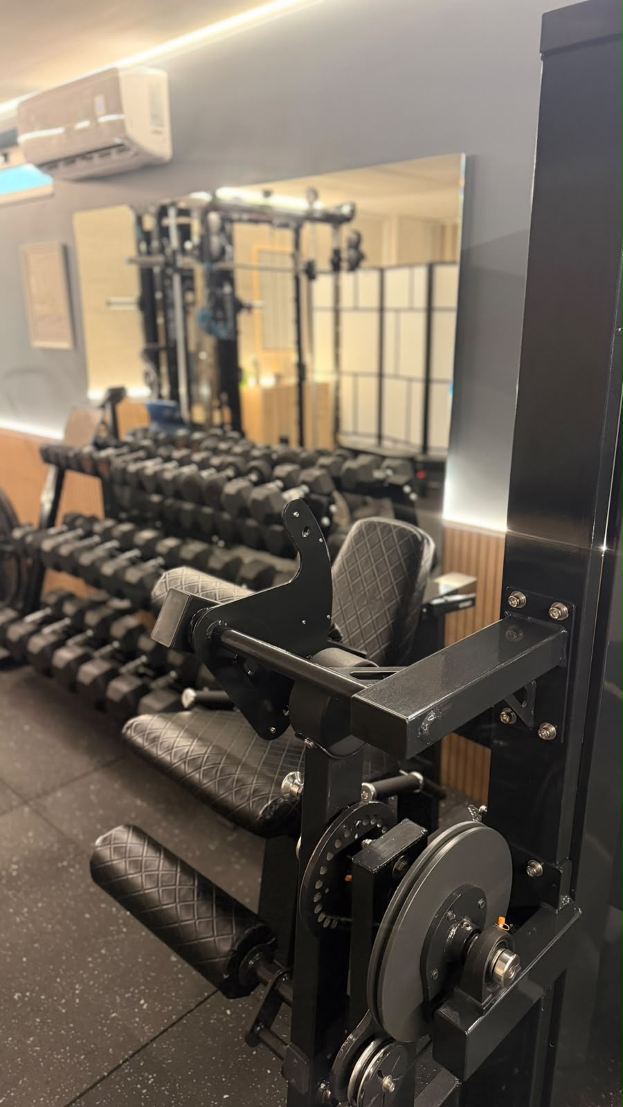 Training equipment at Bárbara Portela's studio in Braga